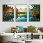 Nature Sunshine Forest
