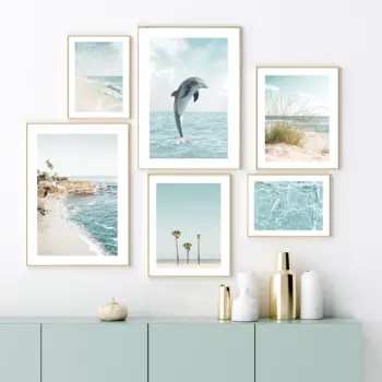 Beach Dolphin Seagull Sea Summer