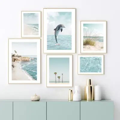 Beach Dolphin Seagull Sea Summer